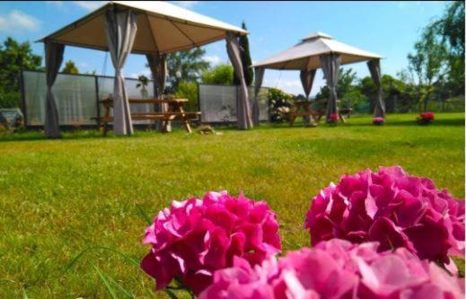 Sagasta Rural Guest House Oviedo Bagian luar foto