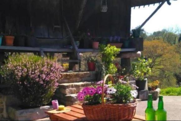 Sagasta Rural Guest House Oviedo Bagian luar foto